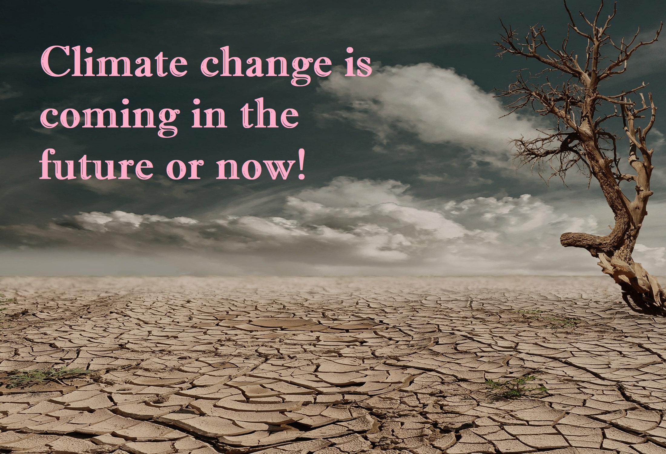 Climate change is coming in the future or now!